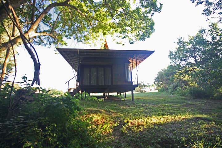 Shire Eco Lodge