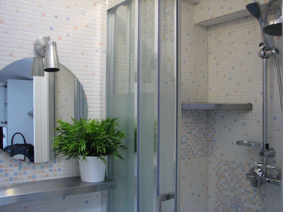 Bathroom (Shower area)