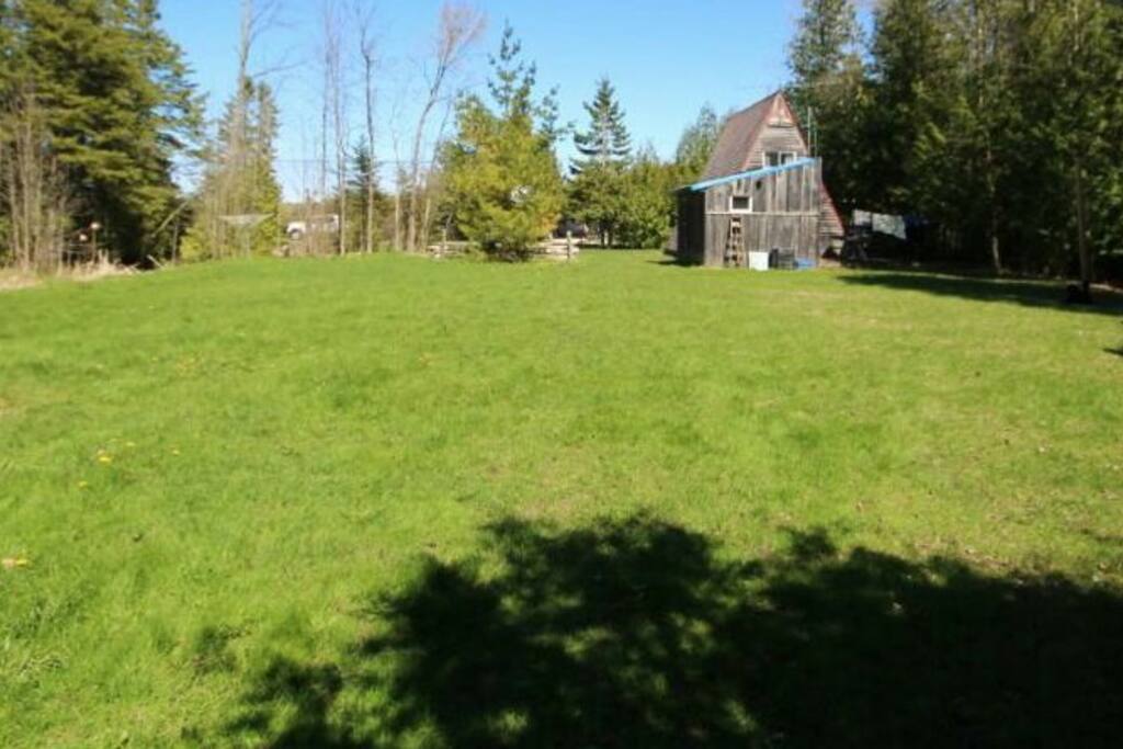 View from backyard firepit
