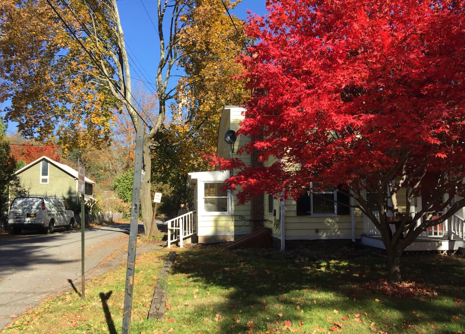 Fall in love with a Little Woodstock Love Inn!