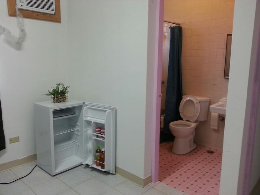 Bathroom (shower + toilet) and Mini fridge