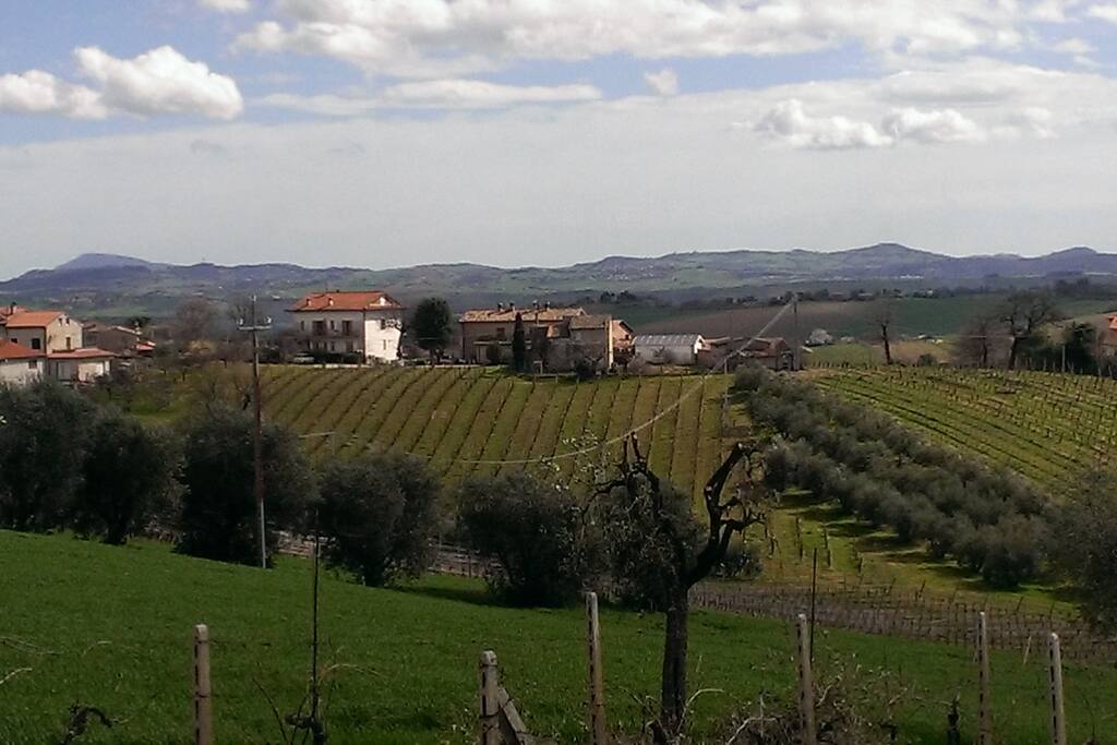 Vista panoramica