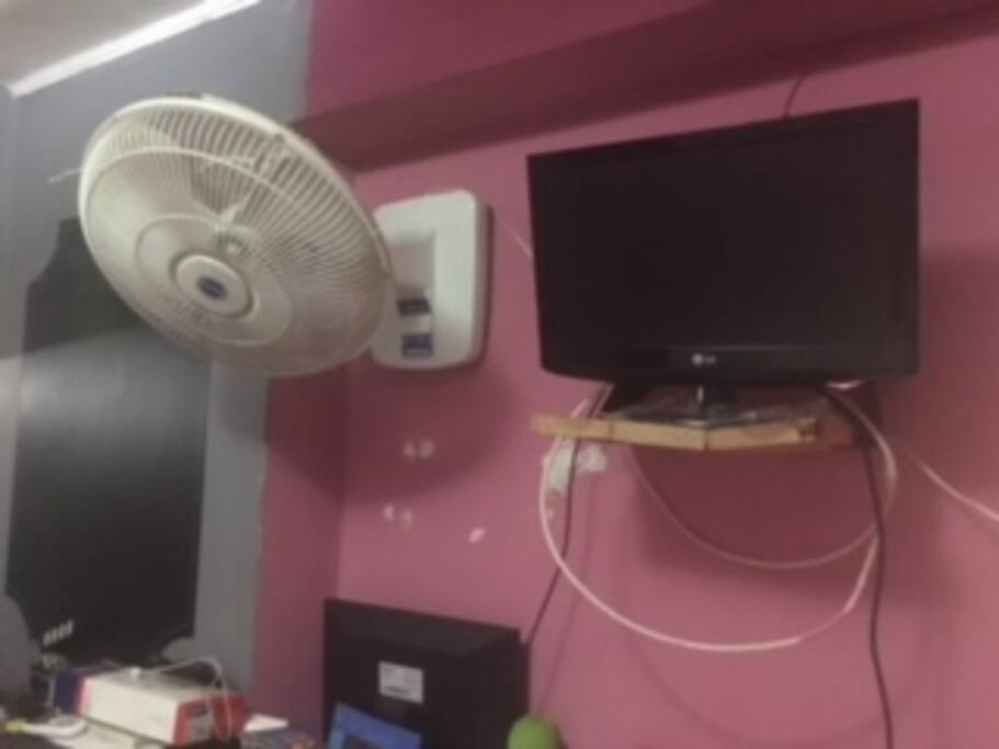 Televisor y ventilador