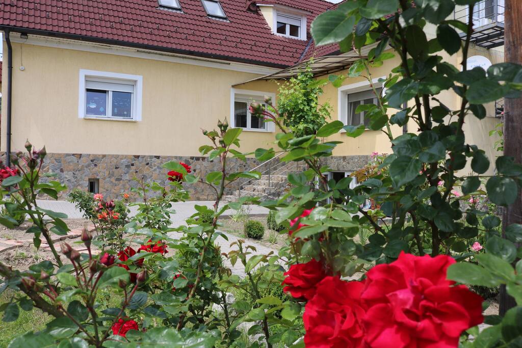 Gartenterrasse mit Treppe zum Wohnzimmer