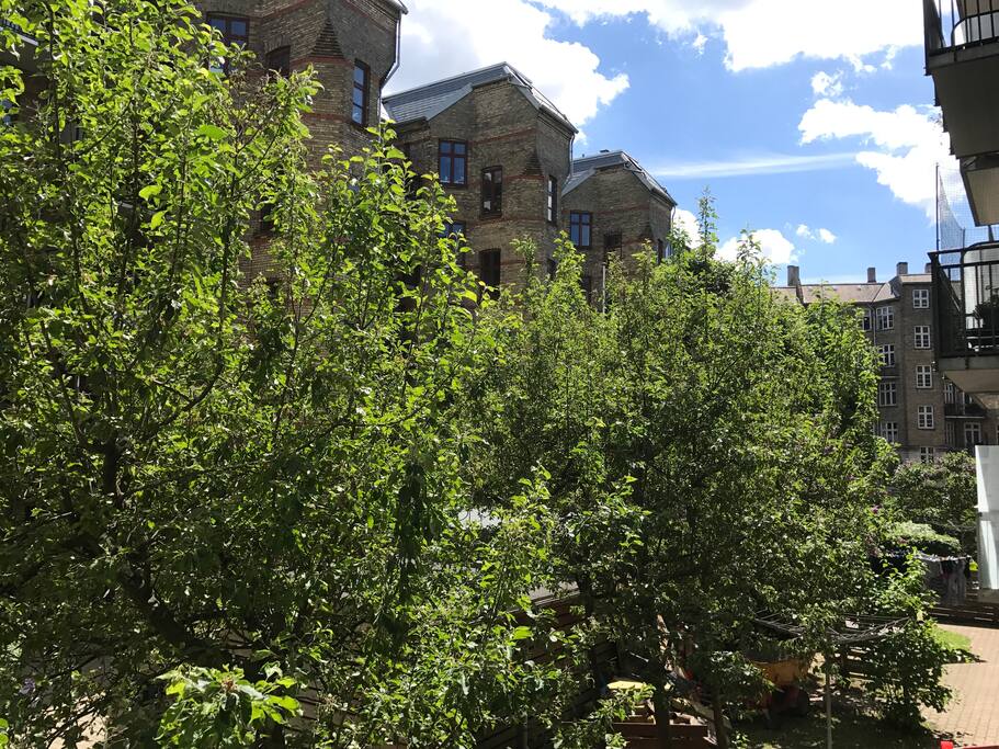 View from the balcony