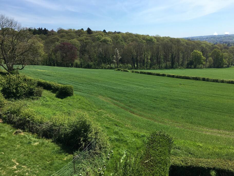 vue sur les champs et les bois