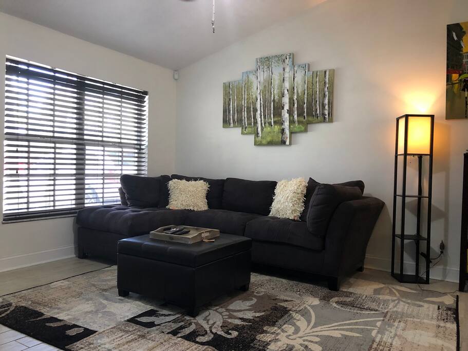 Living room with 60” TV