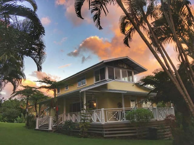 Romantic Hana Hale with Big Ocean Views