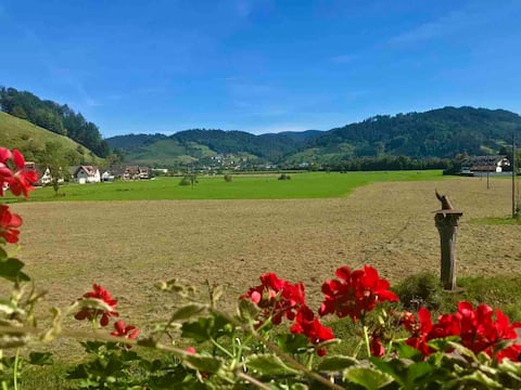 Leistungsstarkes Airbnb: House with a view/Haus Raiser in Gengenbach