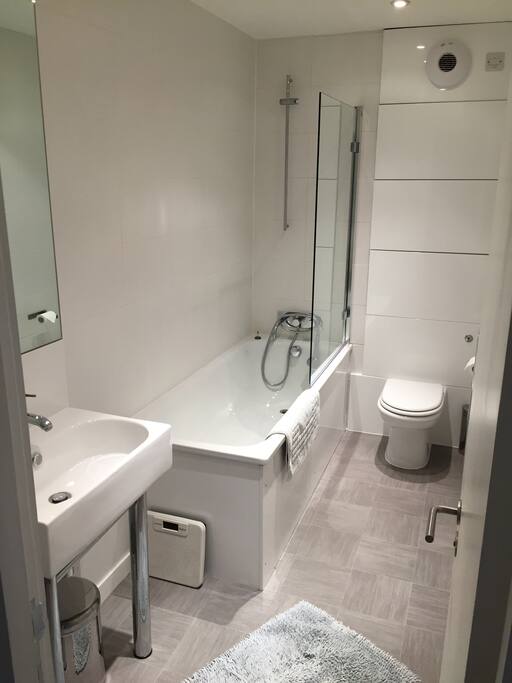Bathroom 1 (1st Floor)