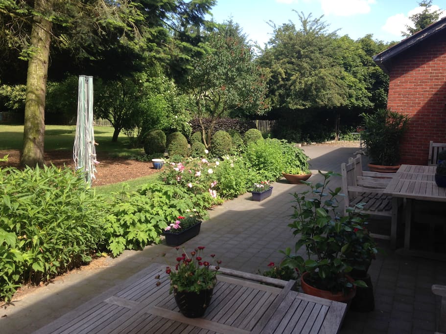 Achtertuin