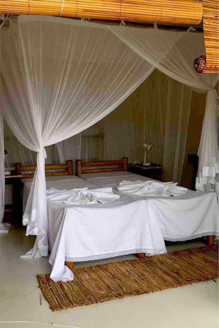 Chambre 4