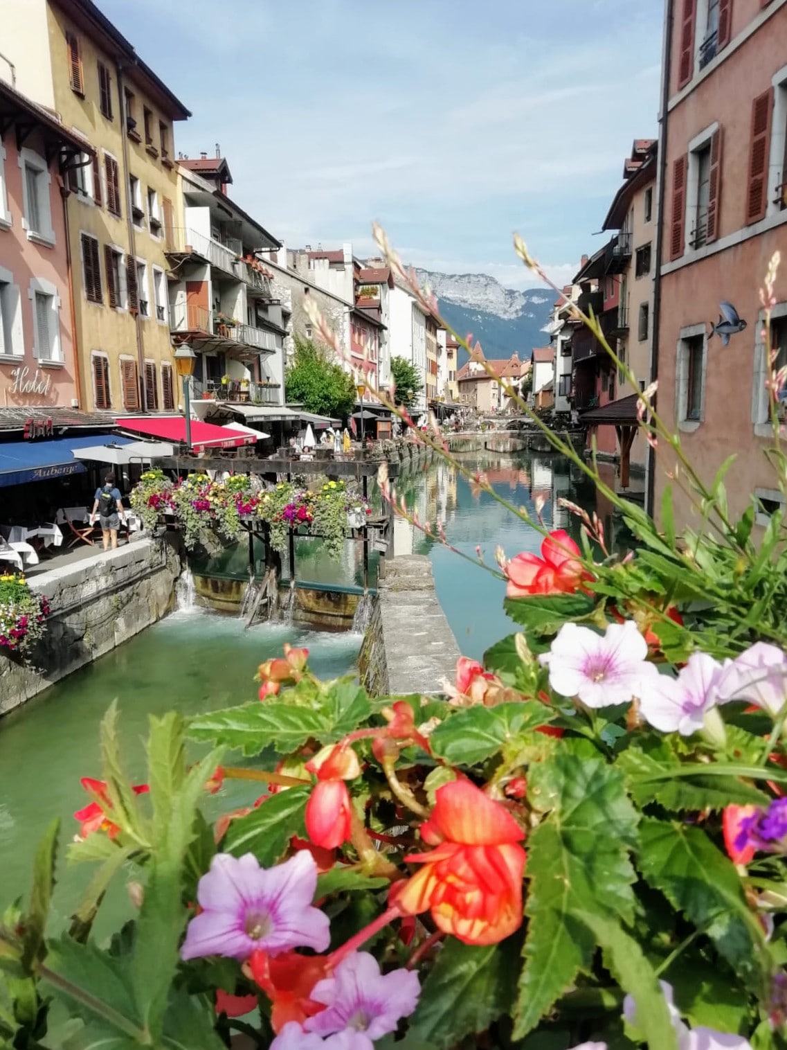 A view of a canal lined with colorful buildings and blooming flowers in various shades. Cafés can be seen along the waterfront, with tables set outdoors. The surrounding mountains are visible in the distance under a clear sky.