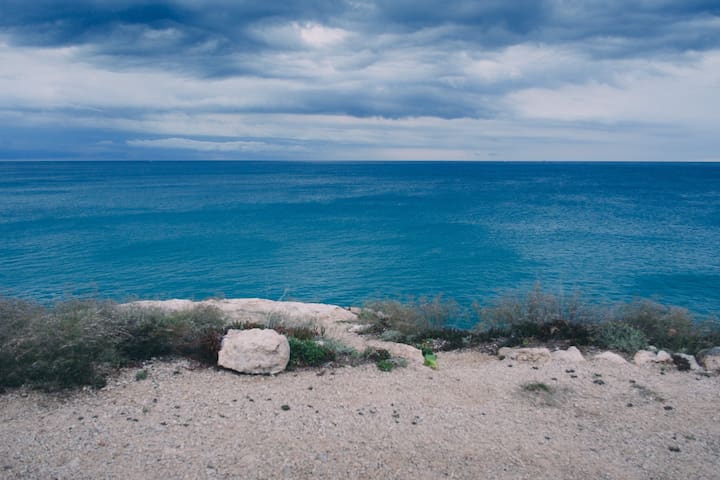 Get 1 apartaments dun dormitori a la platja llarga ca For Android 1 Apartaments Dun Dormitori A La Platja Llarga Ca