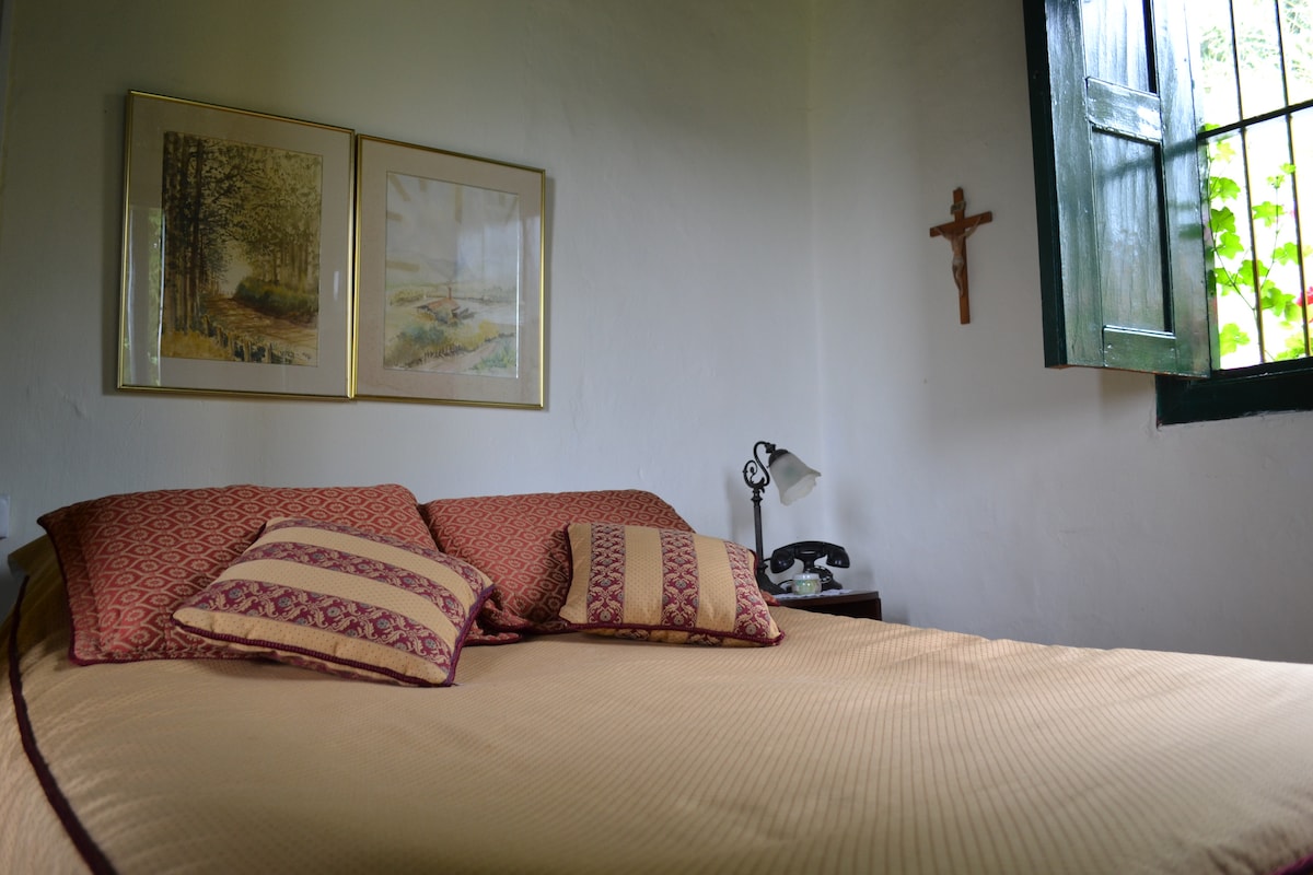 A cozy sleeping area features a spacious bed adorned with decorative pillows. Two framed artworks hang above the bed, and a bedside lamp adds functionality. Natural light enters through an open window, complemented by greenery visible outside.