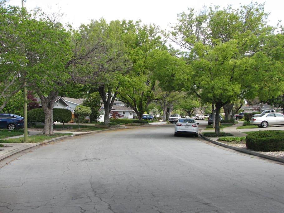 Street Scene