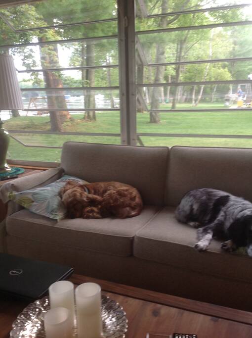 Relaxing in the screened in porch