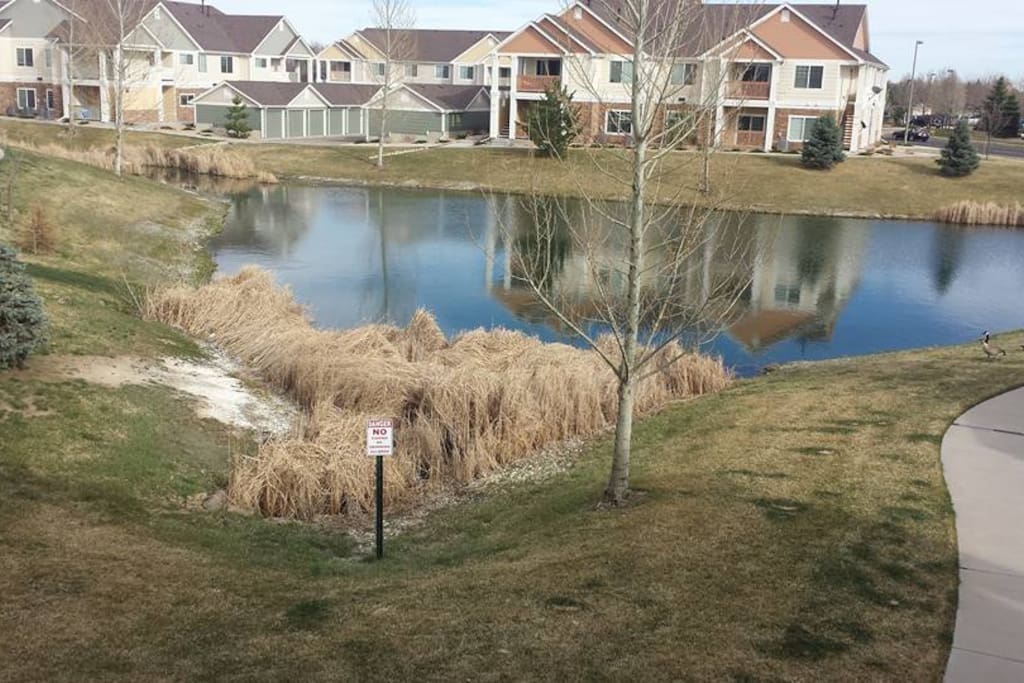 Scenic view from my front door.