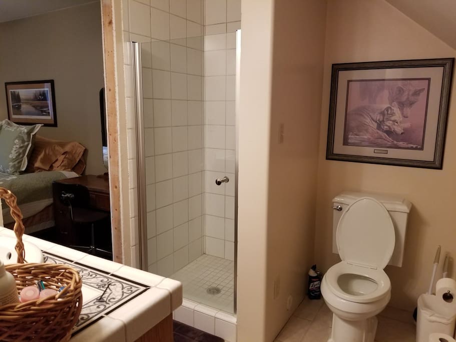 Private bath in guest room