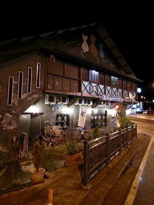 the hotel