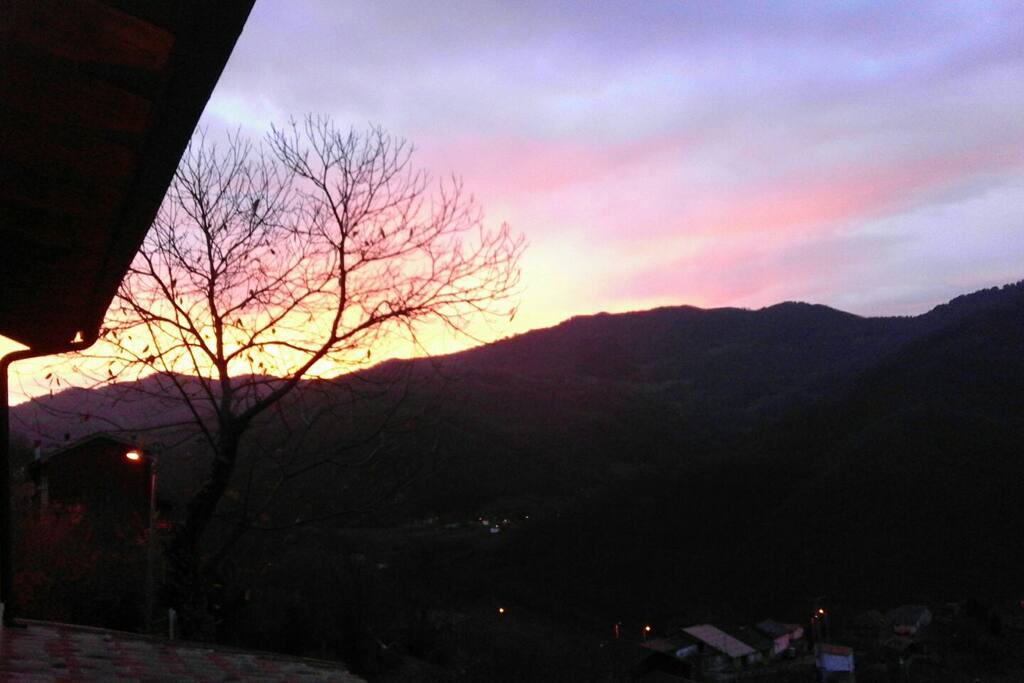 vistas