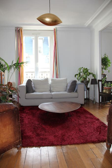 Living room with convertible sofa