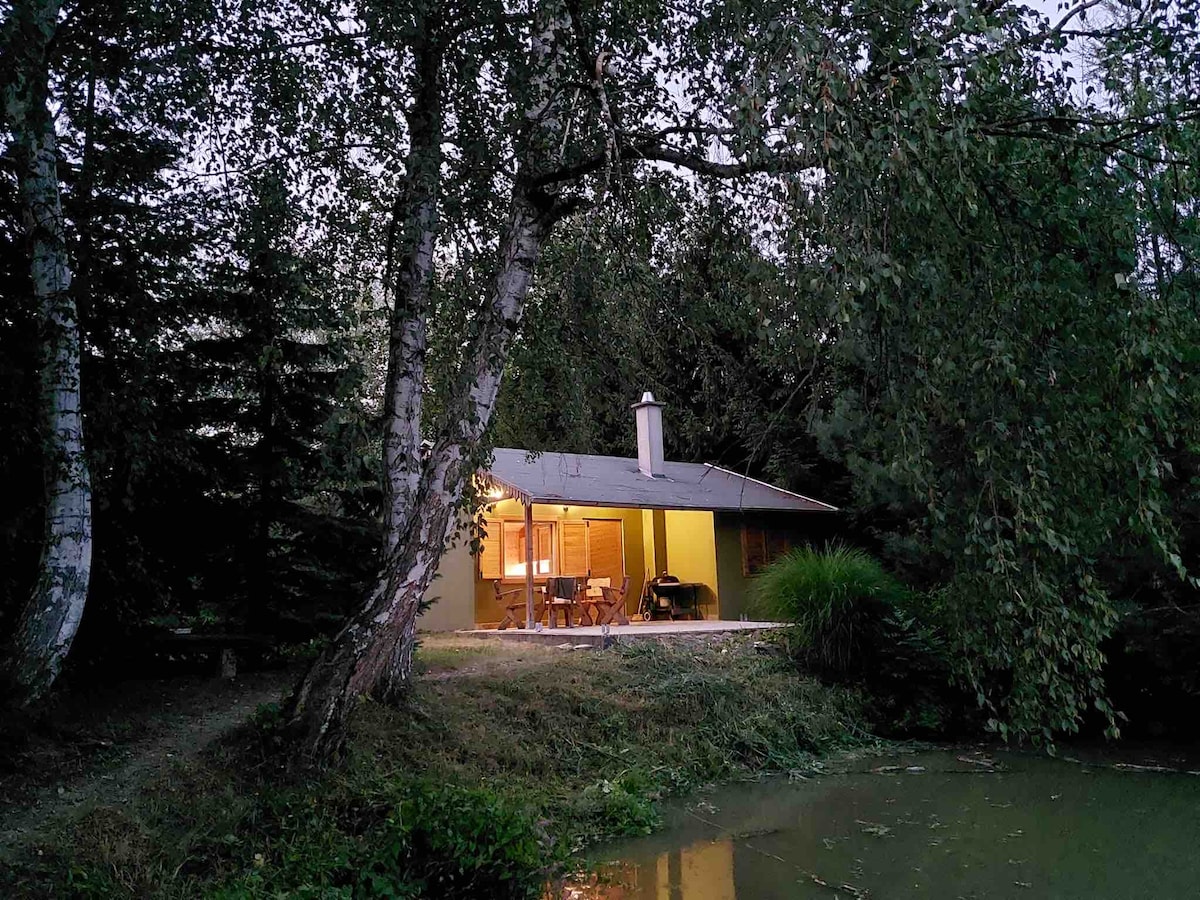 An inviting cabin is framed by tall trees, with warm light glowing from large windows. A pond reflects the peaceful surroundings, enhancing the serene atmosphere of the location. Outdoor seating is visible, suggesting a space for relaxation amidst nature.