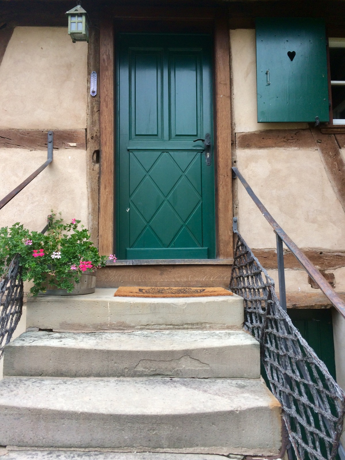 A sturdy green door with a diamond pattern is framed by warm wooden beams of the house. Stone steps lead up to the entrance, adorned with a small flower pot featuring pink flowers. An adjacent green shutter complements the door's color.