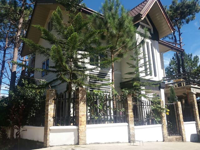 Peaceful and "Pineful" neighborhood