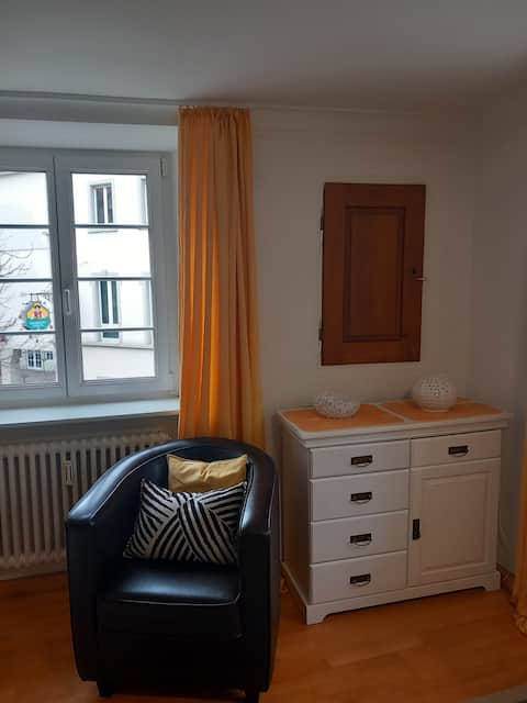 Successful Airbnb property: 1-Zimmer-Altstadt-Apartment "B" No Smoking-House in Freiburg Im Breisgau