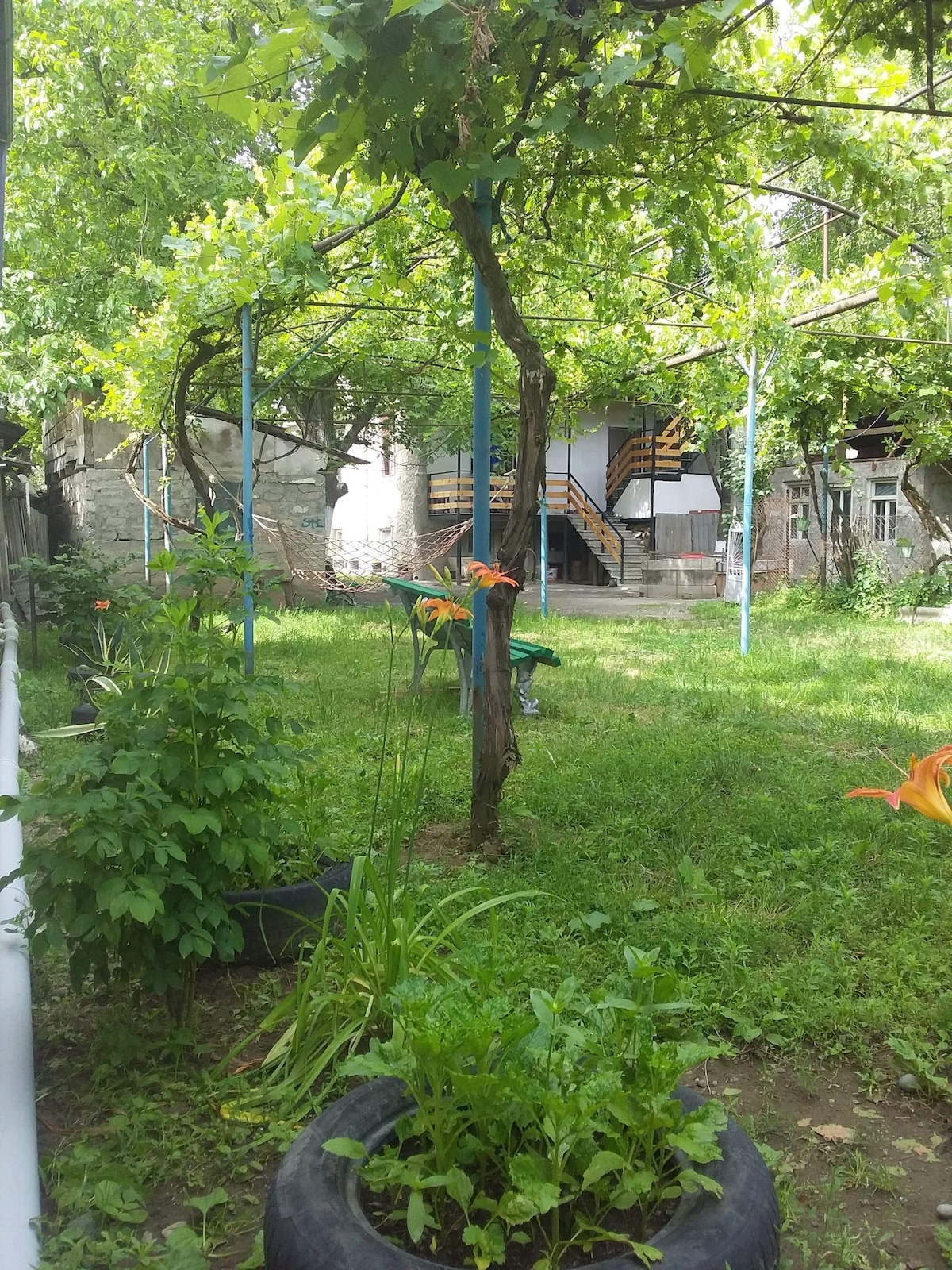 A lush garden area features greenery and flowering plants beneath overhead trellises. In the background, a staircase leads to an upper level of the home, while a patch of well-maintained grass provides a tranquil setting.