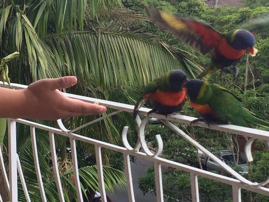 Frequent Visitors