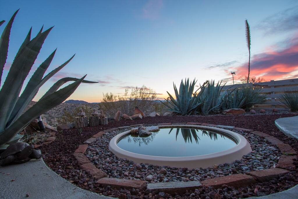 Your peaceful garden and fish pond