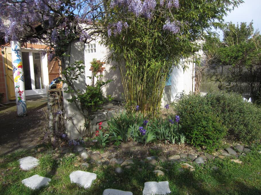 jardin fleuri, ombragé
