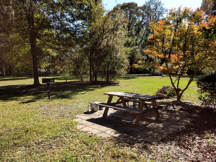 Ginnie Spring Cabins Cottage and Cabin Rentals Airbnb