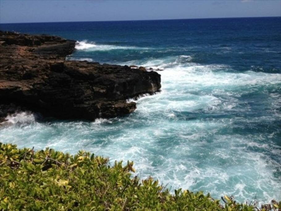 Our condo is just steps away from the crashing surf. Look east to watch magnificent sunrises.