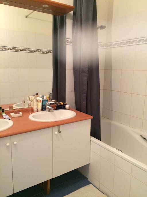 The bathroom (there are two in the appartement and this one is attenant to the bedroom)
