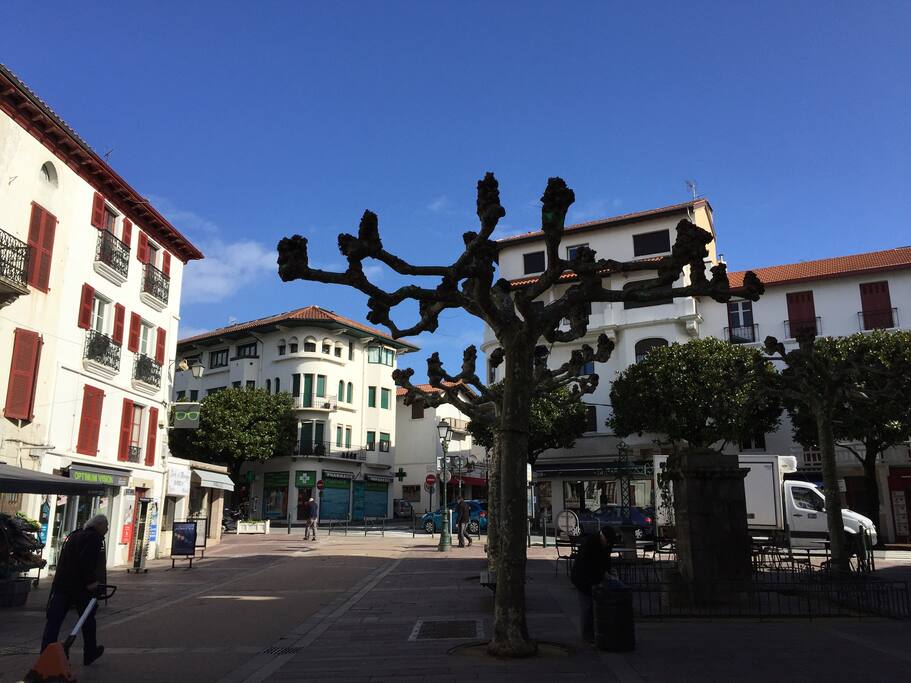 Place Louis XIV de Saint jean de luz
