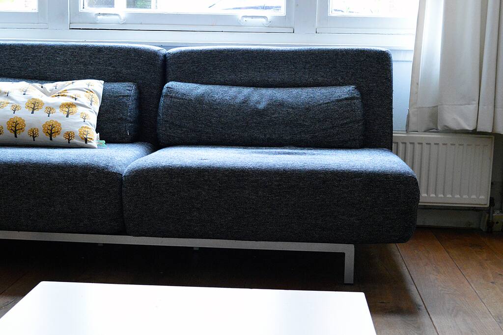 The comfortable couch