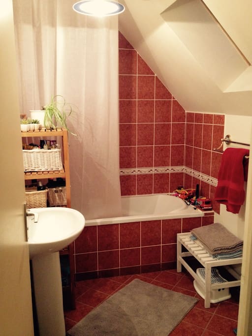 Salle de bain. Baignoire + WC
