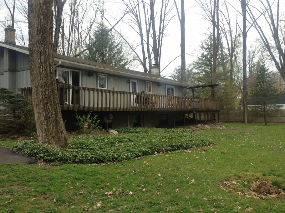 Back deck
