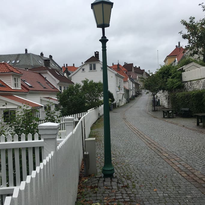 This is the quiet quaint road outside