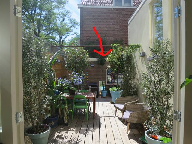 Tiny Studio in Central District near C.S.