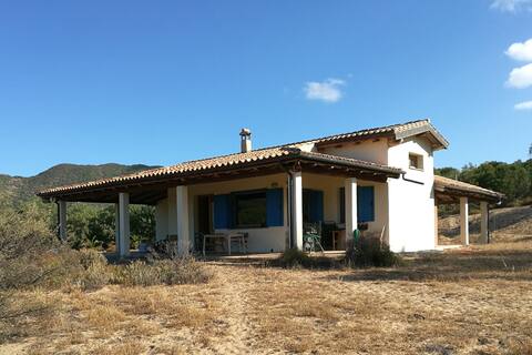 The Yellow House codice IUN S4252