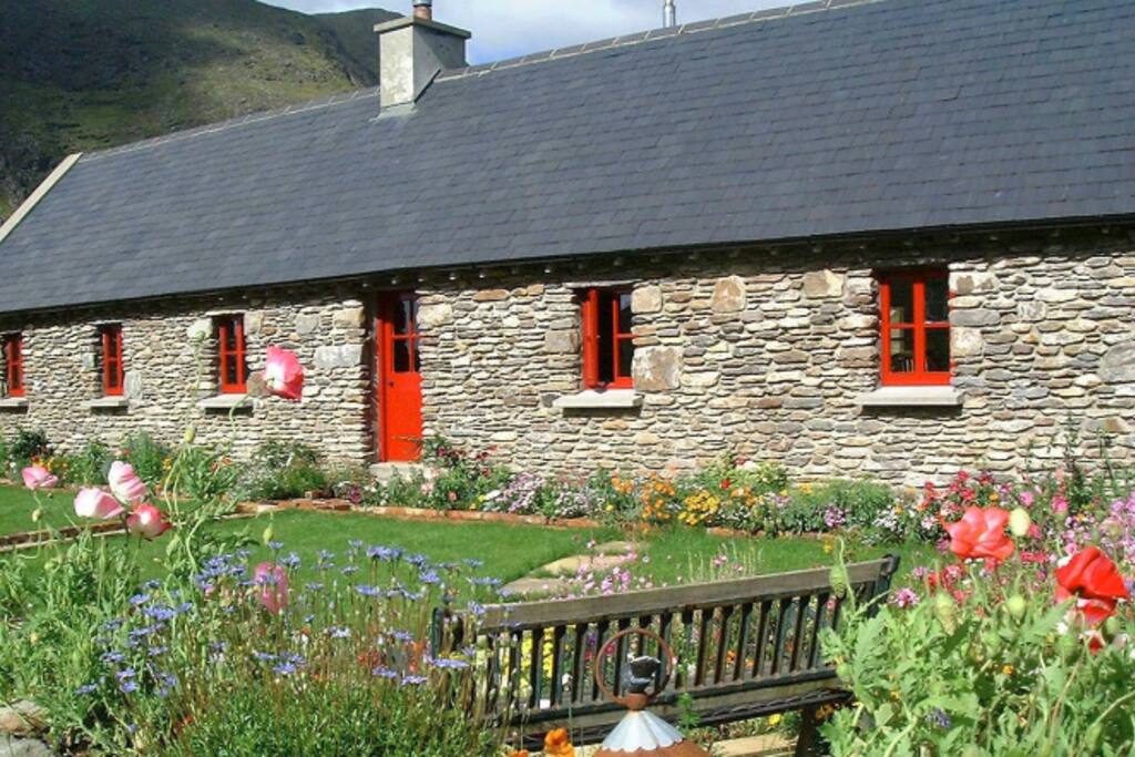 Shepherds Cottage blooms in walled garden