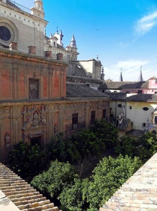 Views from the terrace of the "Patio" of the Church El Salvador