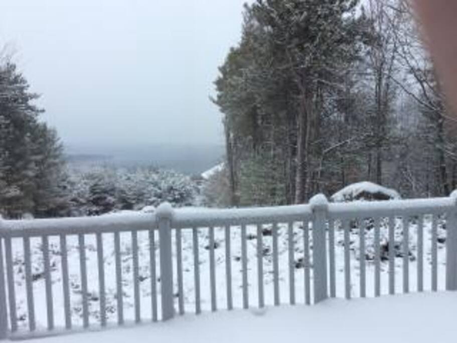 View from dining room