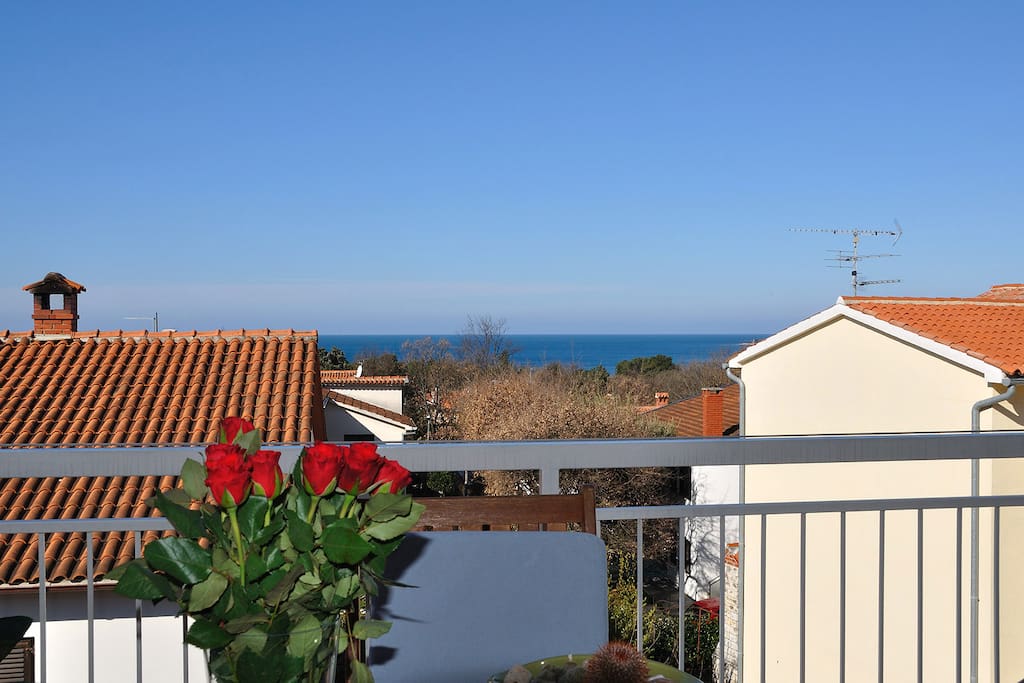 View from the terrace