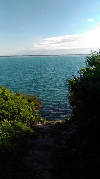 Pathway to Rocky Shore
