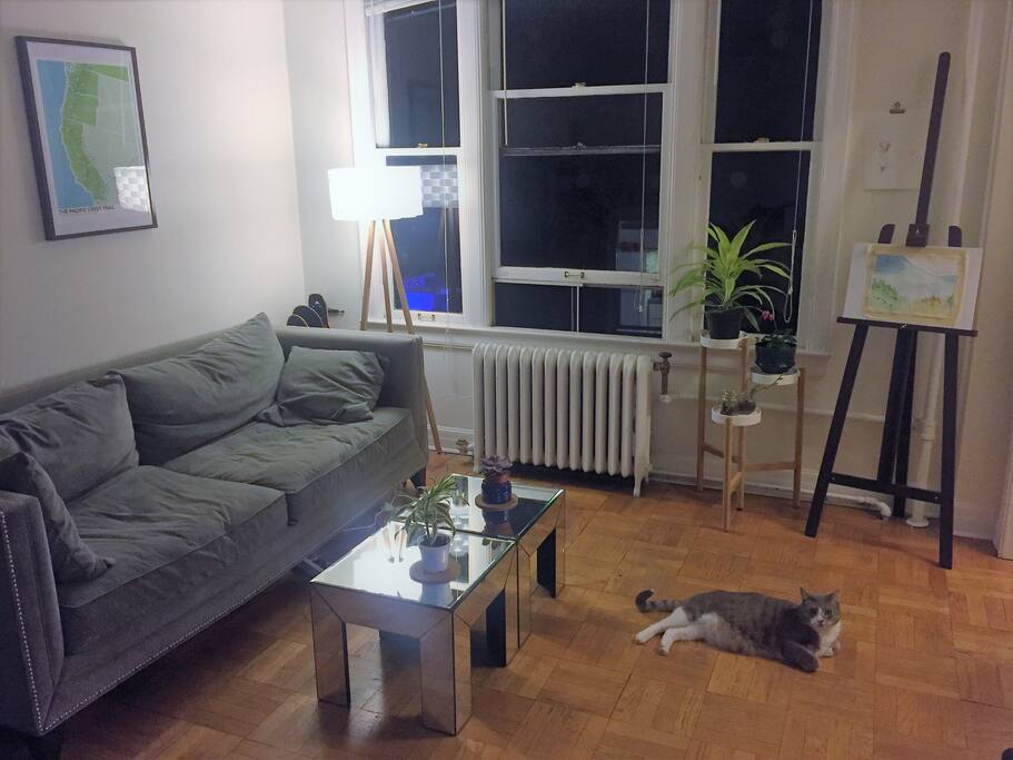Main living space.